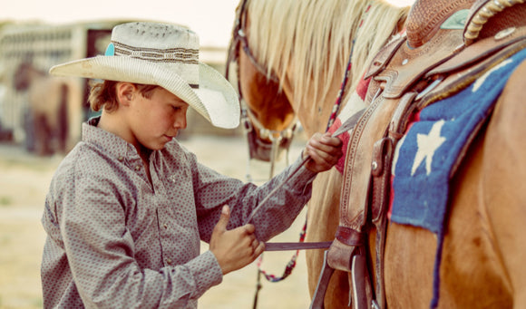 Feeding Fiber to Horses