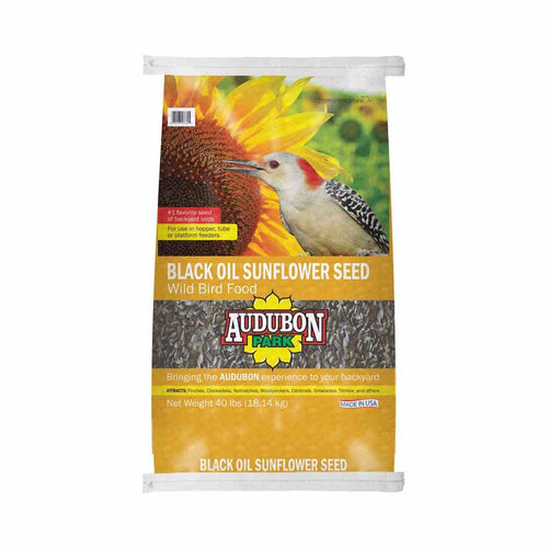 Audubon Park Black Oil Sunflower Seed Wild Bird Food