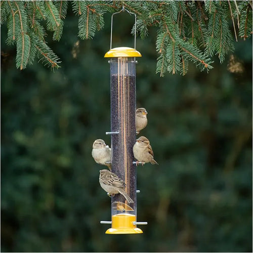 More Birds® Topsy Tails Tube Finch Feeder (1.5 Lb)