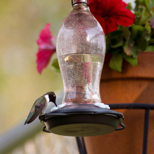 Nature's Way Artisan Gravity Hummingbird Feeder - Blush Crackle