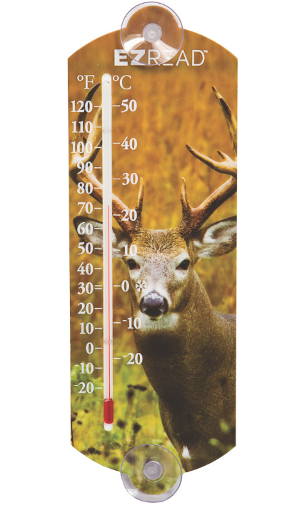 EZRead Indoor/Outdoor Thermometer (10