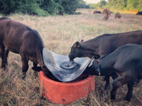 Sioux Steel Company Ground Mineral Feeder