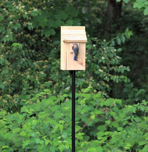 Stokes Select Wren and Chickadee Nesting Bird House, Natural Wood