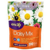 Daisy Flower Mix
