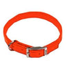 Dog Collar, Safety Orange, 1 x 18-In.