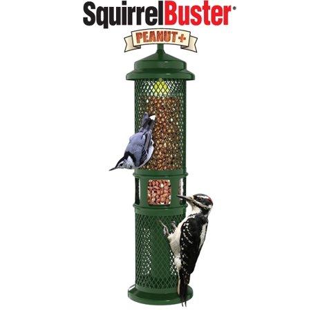 Brome Squirrel Buster Peanut +