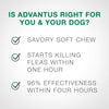 advantus® Small Dog Chew