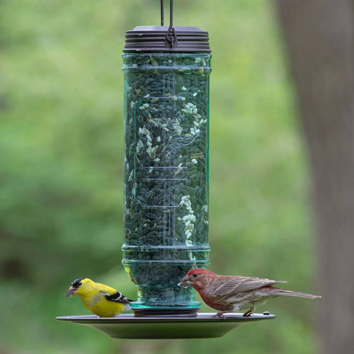 More Birds® Songbird Vintage Glass Combination Sunflower/Thistle Bird Feeder, 1.5 lb. capacity
