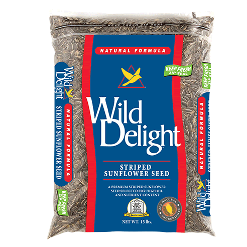 Wild Delight Striped Sunflower Seed