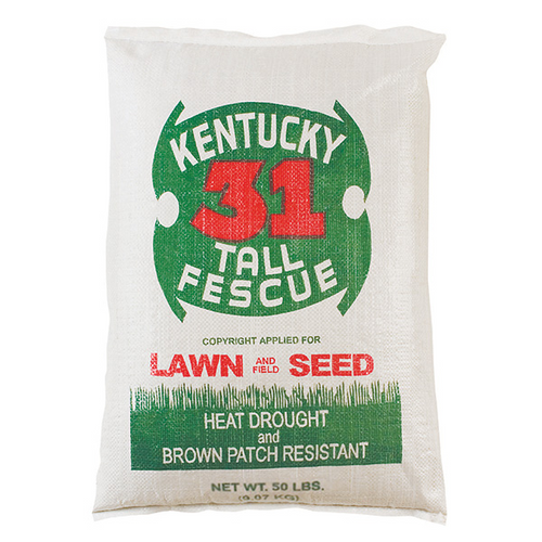 Southern States® Kentucky 31 Tall Fescue