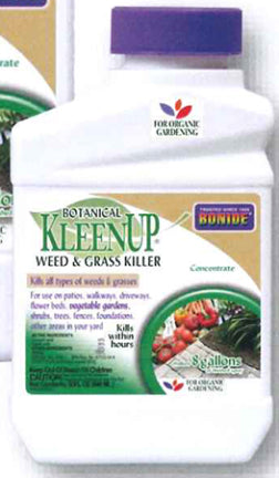 KLEENUP QT CONC BOTANICAL