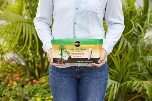 Miracle-Gro® Fruit & Citrus Plant Food Spikes