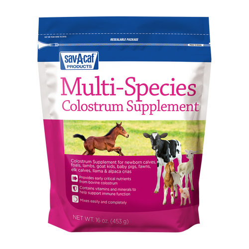 Sav-A-Caf Multi-Species Colostrum Supplement 16 oz