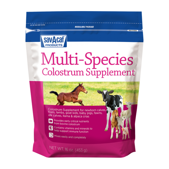Sav-A-Caf Multi-Species Colostrum Supplement 16 oz