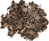 Wild Delight Striped Sunflower Seed