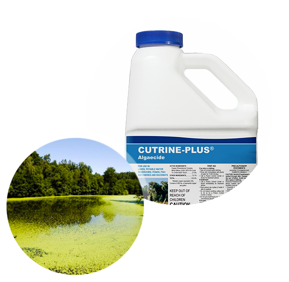 Applied Biochemists Cutrine-Plus Liquid Algaecide/Herbicide, 1 Gal.