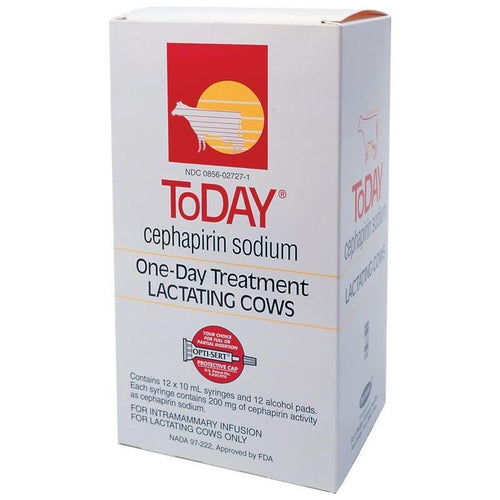 TODAY CEPHAPIRIN SODIUM