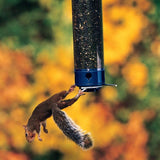 Yankee Whipper® Squirrel-Proof Bird Feeder