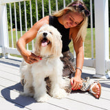 Coastal Pet Products Safari Dog Shedding Combs